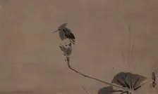 A kingfisher, 17th century. Creator: Tsunenobu; Kano (1636&ndash1713)