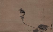 A kingfisher, 17th century. Creator: Tsunenobu; Kano (1636&ndash1713)