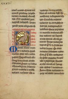 A Kite (Bird); De Natura Avium; De Pastoribus et Ovibus, On the Soul, 1277 or after. Creator: Unknown