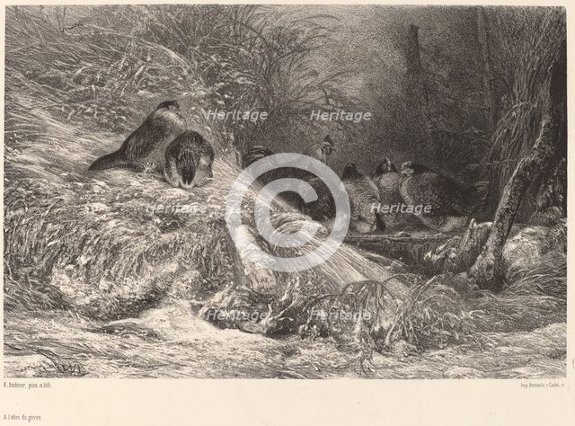 A l'abri du givre. Creator: Karl Bodmer.