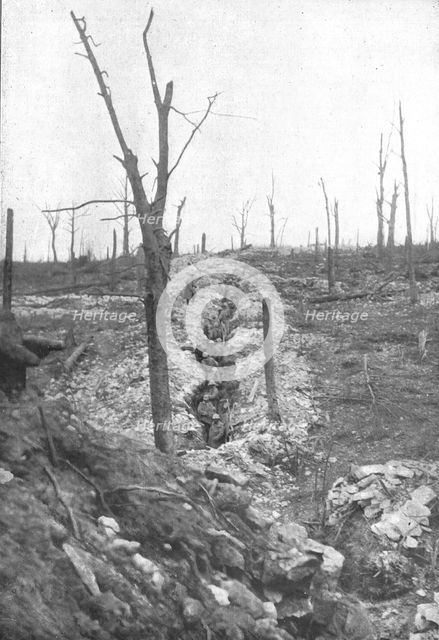 'A la division Mangin; Une section en reserve au bois de la Caillette, repris..., 1916 (1924) Creator: Unknown.