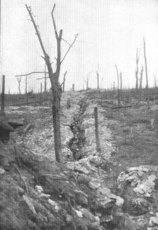 A la division Mangin; Une section en reserve au bois de la Caillette, repris..., 1916 (1924) Creator: Unknown
