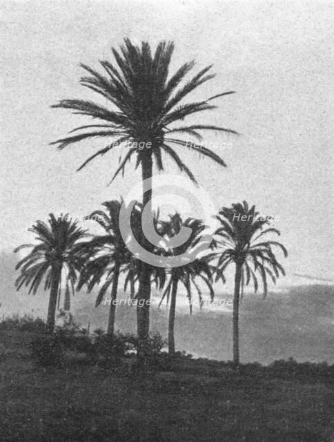 ''A la lisiere du desert en Tripolitaine; Le Nord-Est Africain', 1914. Creator: Unknown.