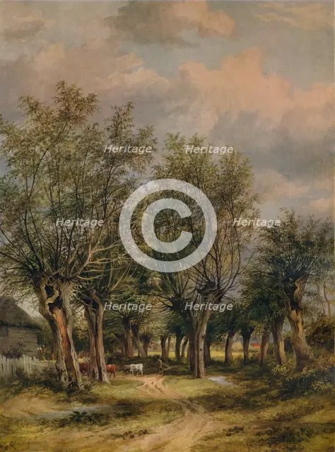 'A Lane near Norwich', c1837. Artist: James Stark.