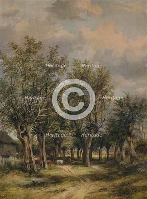 'A Lane near Norwich', c1837. Artist: James Stark.