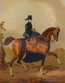 A Ladies Horse - The Property of the Late Earl of Pembroke c1840s, (c1879). Creator: Henri d'Ainecy Montpezat