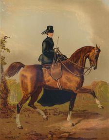 A Ladies Horse - The Property of the Late Earl of Pembroke c1840s, (c1879). Creator: Henri d'Ainecy Montpezat