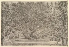 A large inhabited tree in center with ramps leading around the trunk, below a stone pa..., ca. 1653. Creator: Stefano della Bella
