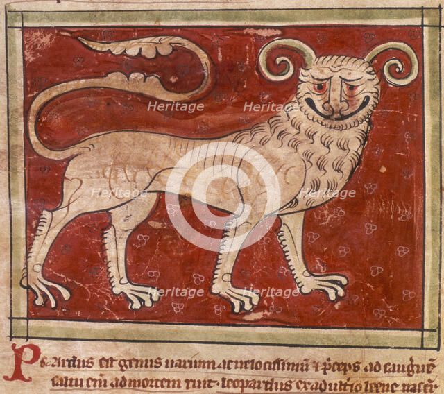 A leopard, 14th century. Creator: Unknown.