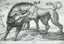A Leopard Fighting a Boar, 1610. Creator: Hendrick Hondius I