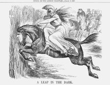 A Leap in the Dark 1867. Creator: John Tenniel
