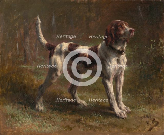 A Limier Briquet Hound, ca. 1856. Creator: Rosa Bonheur.
