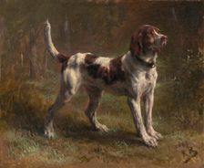 A Limier Briquet Hound, ca. 1856. Creator: Rosa Bonheur
