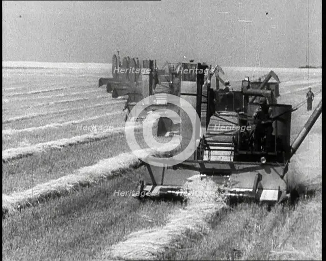 A Line of Tractors Harvesting Grain, 1932. Creator: British Pathe Ltd.