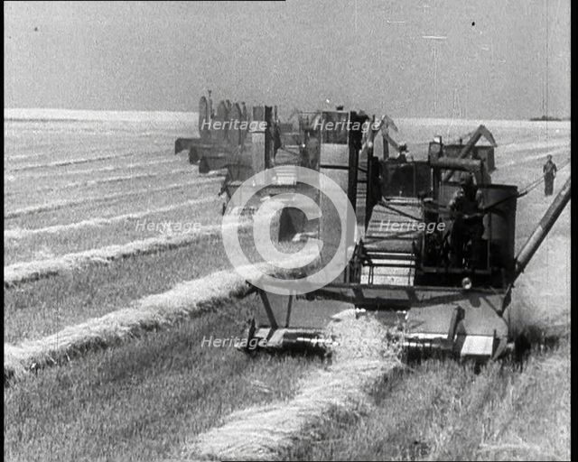 A Line of Tractors Harvesting Grain, 1932. Creator: British Pathe Ltd.