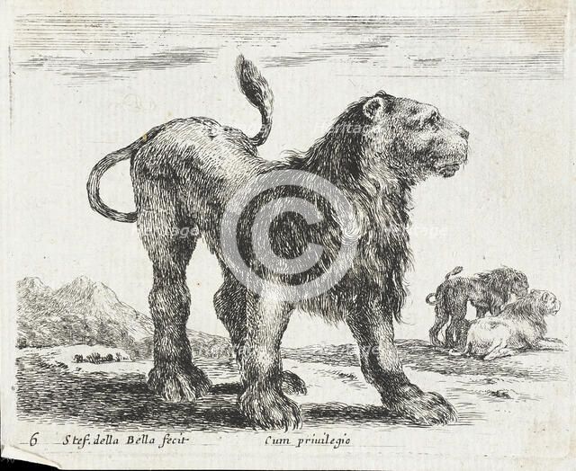 A Lion, 1641. Creator: Stefano della Bella.