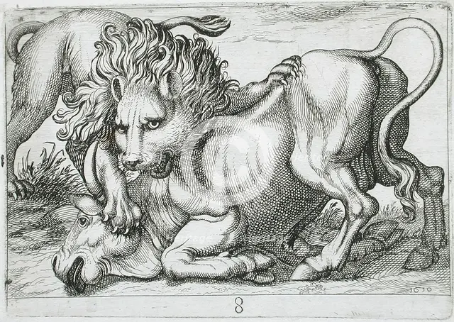 A Lion Attacking a Bull, 1610. Creator: Hendrick Hondius I.