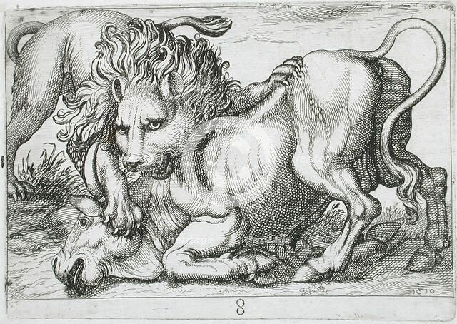A Lion Attacking a Bull, 1610. Creator: Hendrick Hondius I.