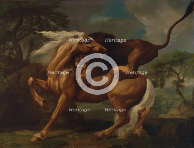 A Lion Attacking a Horse, 1762. Creator: George Stubbs.