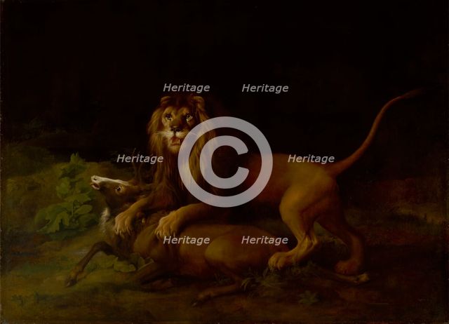 A Lion Attacking a Stag, between 1765 and 1766. Creator: George Stubbs.