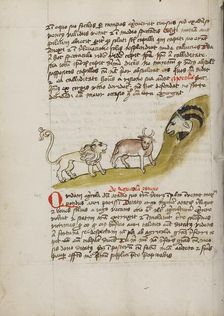 A Lion and an Ox before a Billy-Goat; Fables, third quarter of 15th century. Creator: Unknown
