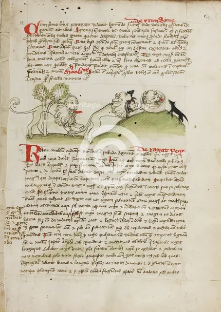 A Lion and Another Lion with a Mouse; Fables; Animal Fables, third quarter of 15th century. Creator: Unknown.