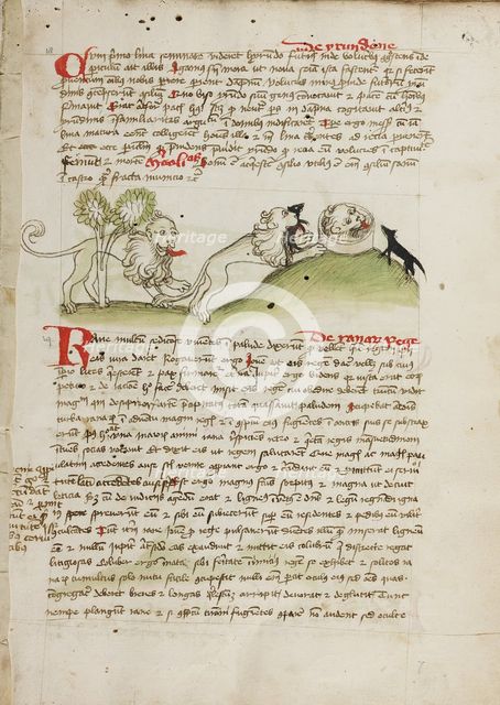 A Lion and Another Lion with a Mouse; Fables; Animal Fables, third quarter of 15th century. Creator: Unknown.