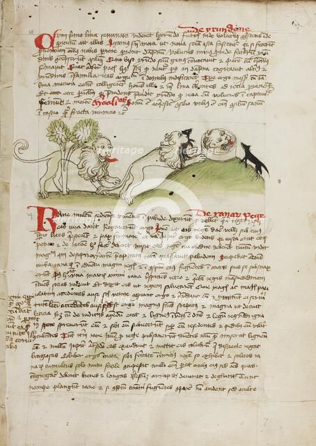 A Lion and Another Lion with a Mouse; Fables; Animal Fables, third quarter of 15th century. Creator: Unknown.