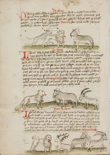 A Lion between a Wolf and an Ox: A Lion before a Cow, a Ram and..., third quarter of 15th century. Creator: Unknown