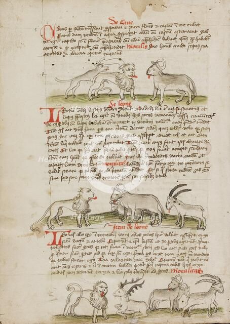 A Lion between a Wolf and an Ox: A Lion before a Cow, a Ram and..., third quarter of 15th century. Creator: Unknown.
