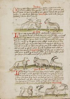 A Lion between a Wolf and an Ox: A Lion before a Cow, a Ram and..., third quarter of 15th century. Creator: Unknown