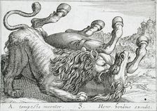 A Lion Biting a Horse's Neck, 1610. Creator: Hendrick Hondius I