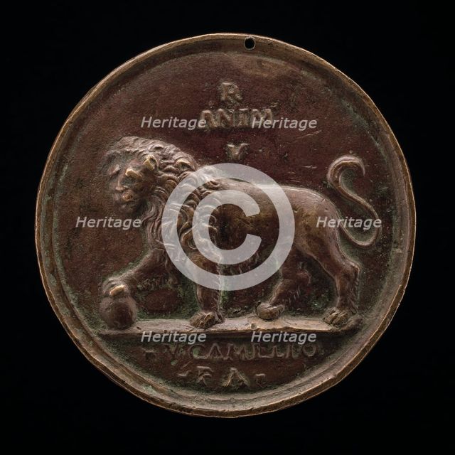 A Lion. Creator: Vittore Gambello.