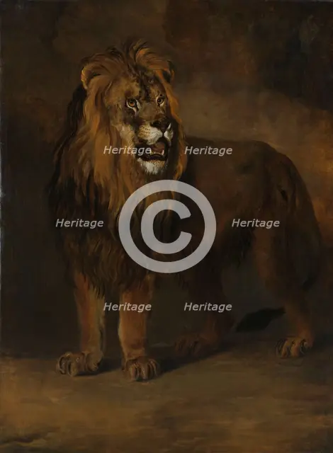A Lion from the Menagerie of King Louis Napoleon, 1808, 1808. Creator: Pieter Gerardus van Os.