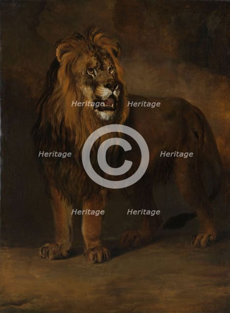 A Lion from the Menagerie of King Louis Napoleon, 1808, 1808. Creator: Pieter Gerardus van Os.