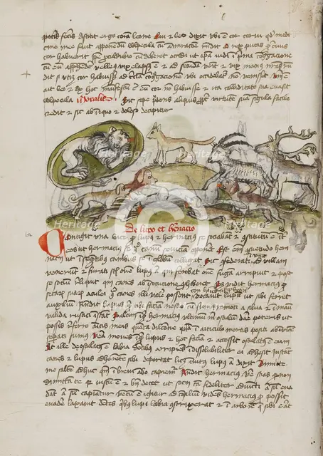 A Lion in its Den and Animals Biting a Wolf; Fables, third quarter of 15th century. Creator: Unknown.