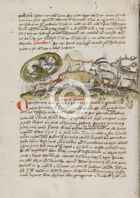 A Lion in its Den and Animals Biting a Wolf; Fables, third quarter of 15th century. Creator: Unknown.