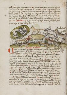A Lion in its Den and Animals Biting a Wolf; Fables, third quarter of 15th century. Creator: Unknown