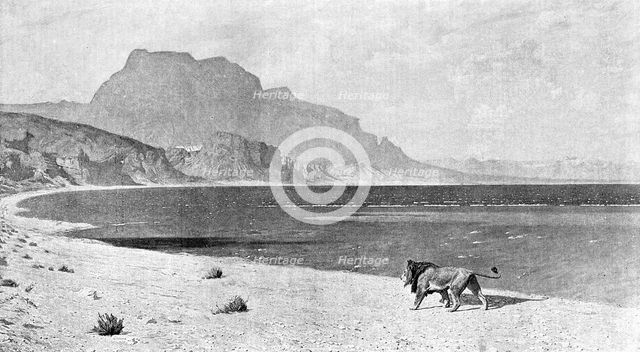 "A Lion in Search of its Prey", after JL Gerome', 1890. Creator: Unknown.