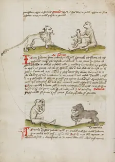 A Lion with a Monkey and his Young: A Monkey: A Bear Eating a..., third quarter of 15th century. Creator: Unknown