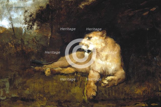 'A Lioness', c1867-1910. Artist: John MacAllan Swan