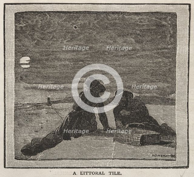 A Littoral Life, 1879. Creator: Winslow Homer (American, 1836-1910).