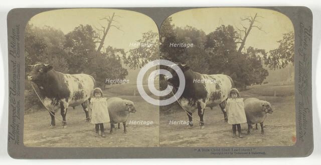 A little Child Shall Lead them!, 1901. Creator: Underwood & Underwood.