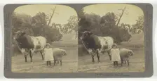 A little Child Shall Lead them!, 1901. Creator: Underwood & Underwood
