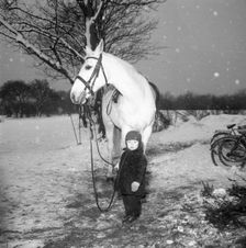 A little boy with a horse in winter, Sweden, 1958. Creator: Unknown