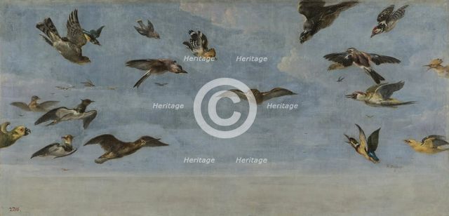 A Little Owl and a Flock of Birds, between 1600 and 1657. Creator: Frans Snyders.