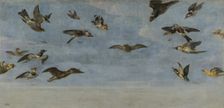 A Little Owl and a Flock of Birds, between 1600 and 1657. Creator: Frans Snyders