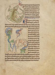 A Lizard; Salamanders; Northumberland Bestiary, about 1250-1260. Creator: Unknown
