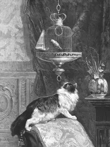 'A Longing Look' 1890. Creator: Unknown