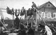 A log house covered with bark. Near the house there was a fish drying facility, 1910-1929. Creator: Ivan Emelianovich Larin